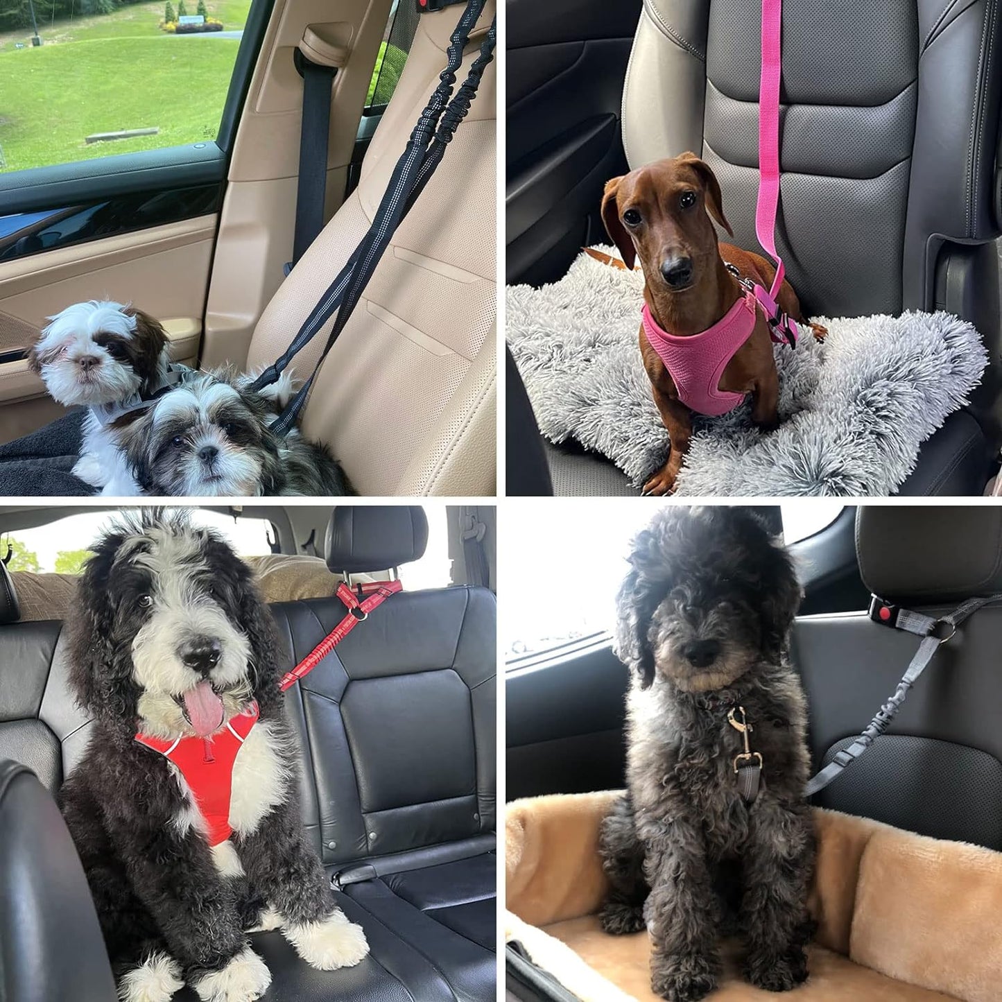 Two Packs of Furry Road Trip Seatbelts: Keeping Your Pup and Purr-fect Passenger from Taking the Wheel!