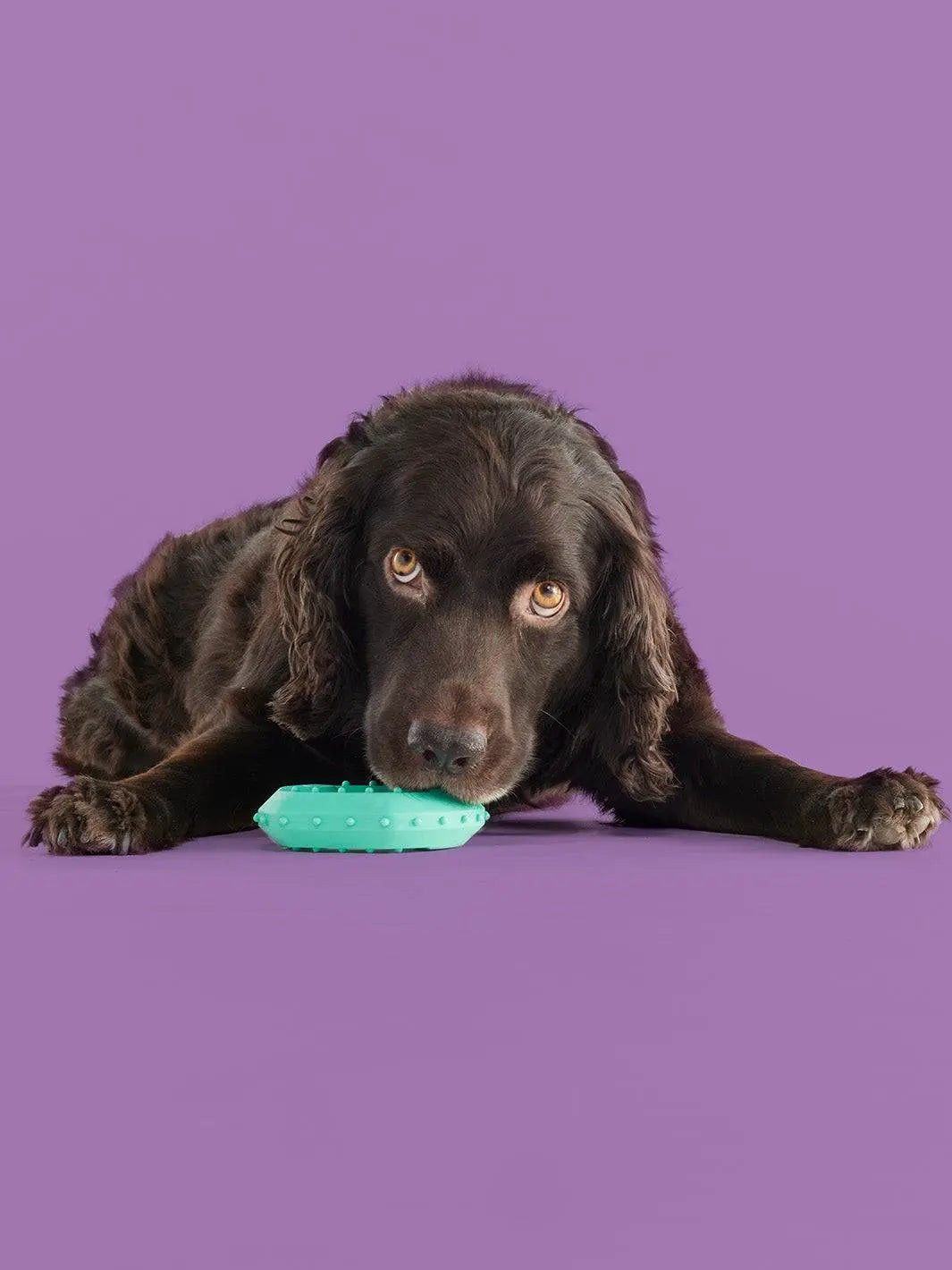 Yomp Frosty Pup Popsicle – The Ultimate Ice Cream Cone for Your Canine Chewer!