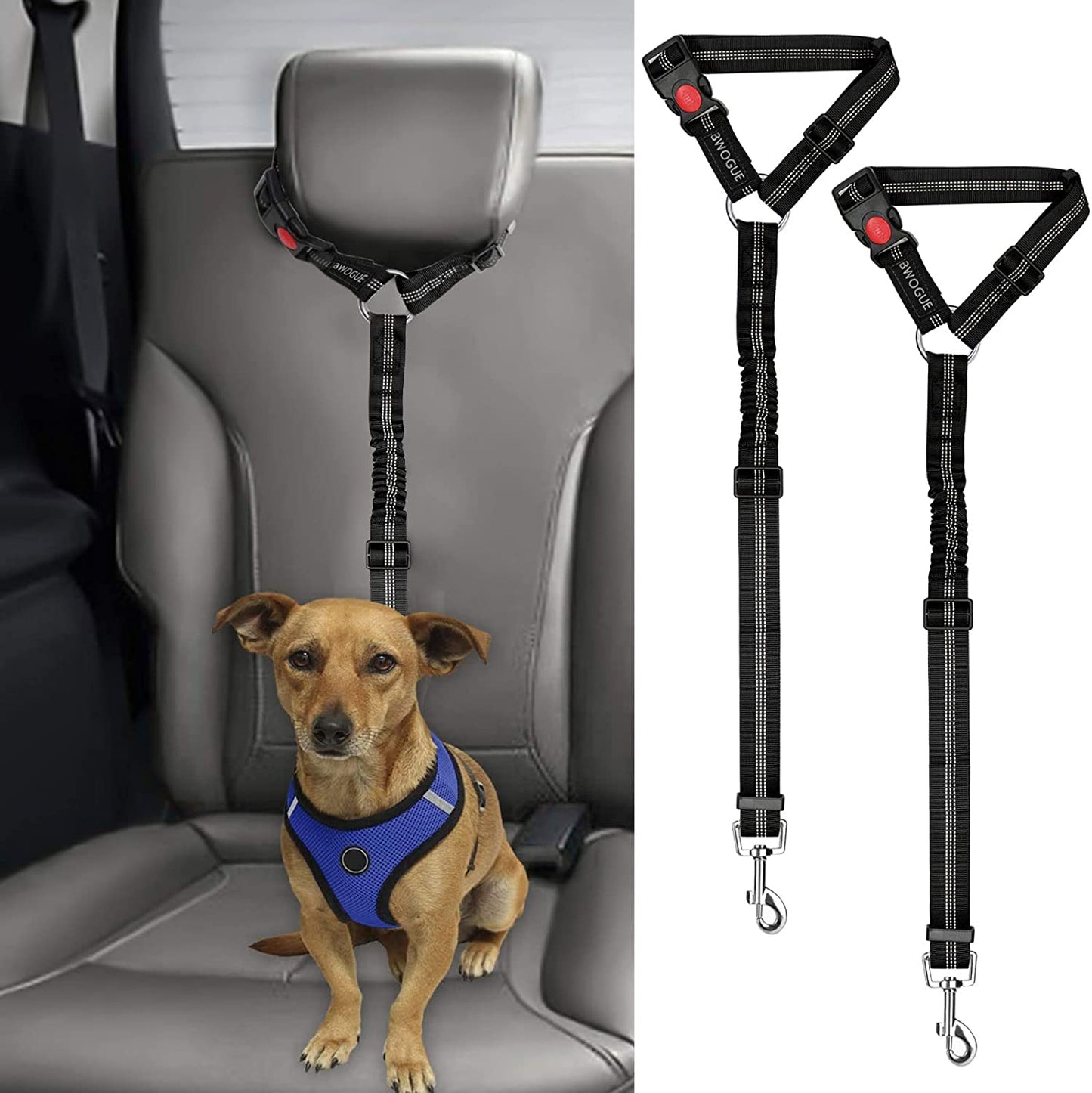 Two Packs of Furry Road Trip Seatbelts: Keeping Your Pup and Purr-fect Passenger from Taking the Wheel!