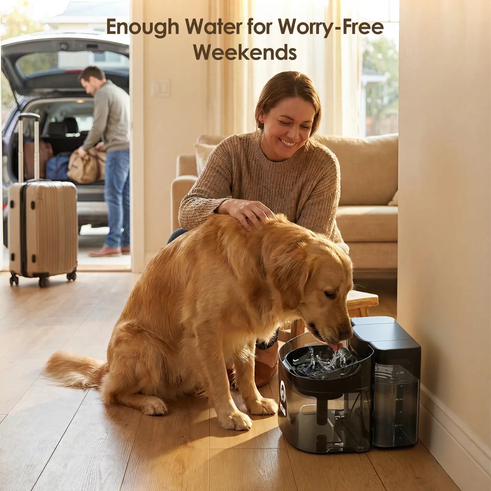VEWO's Big Dog Water Party Fountain: The Ultimate Splash Zone for Thirsty Giants – No Spills, Just Chills!