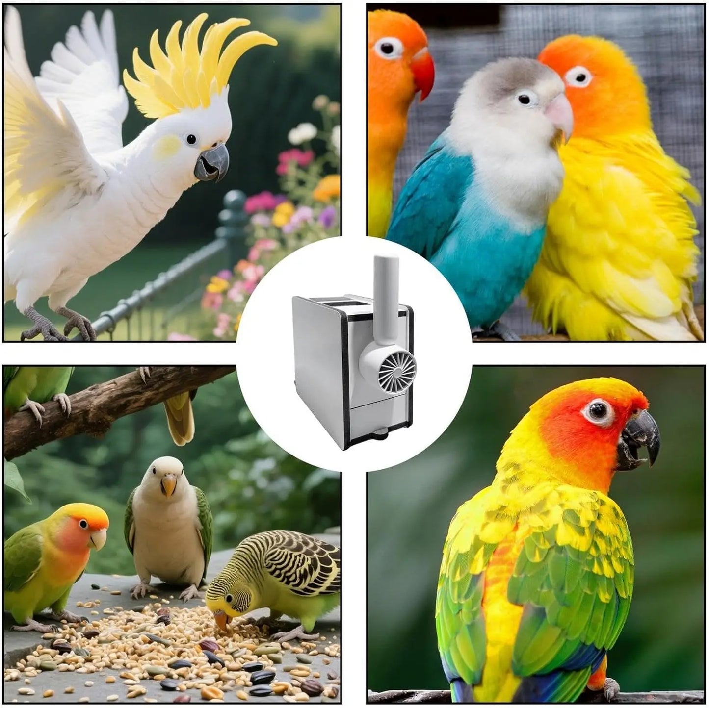 Bird Seed Hull Separator Blowing Box, Electric Bird Seed Cleaner Tool with Portable Fan & USB Cable, Automatic Seed Saver Chaff Catcher for Parrots, Budgies, Cockatiels, Canaries - No Mess Accessories
