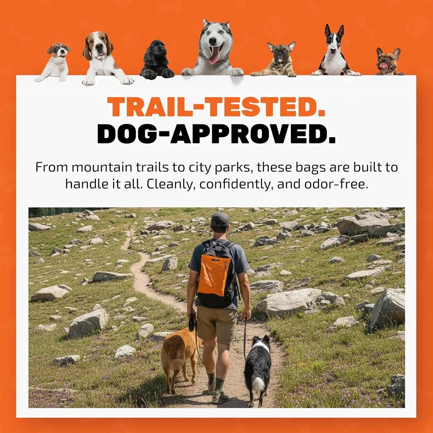 Wag Your Poop Away: The Smell-Proof, Double Trouble Doggie Duty Bags with a Handle for Your Adventures in Turd-ology, 10 Count!