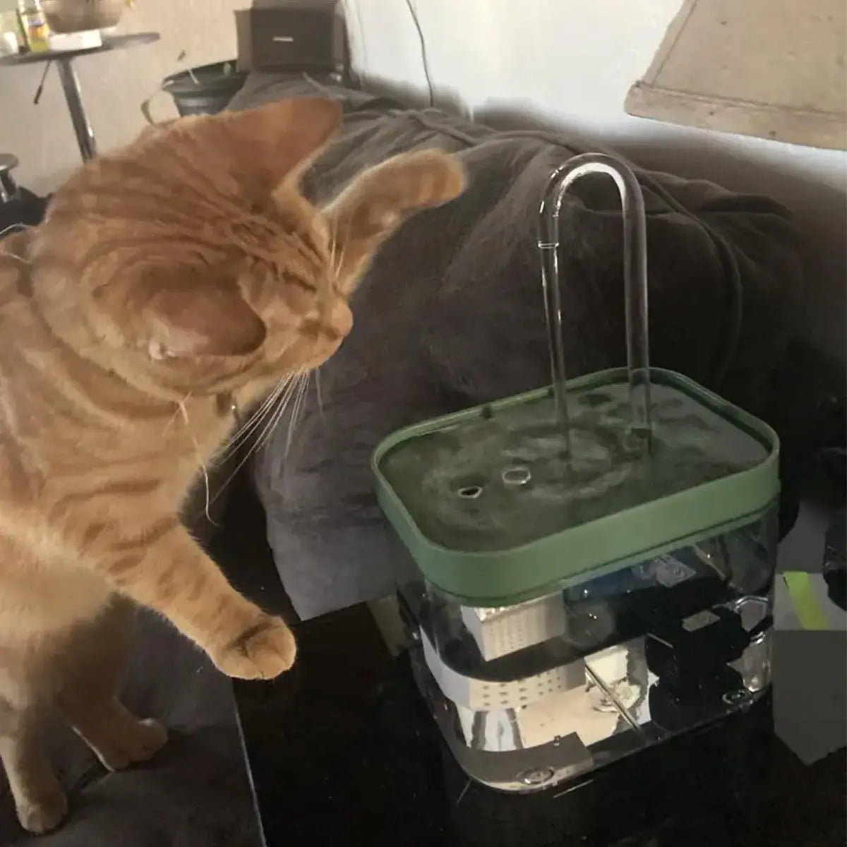 Paw-sitively Purr-fect USB Water Fountain: The Silent Hydration Station for Your Furry Friends (Just Plug It In and Let the Splashing Begin!)