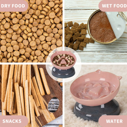 Ceramic Slow Feeder Cat Bowl, Raised Tilted Cat Food Bowl for Fast Eaters, Whisker Friendly Elevated Bowl, Dishwasher Safe for Dry & Wet Food