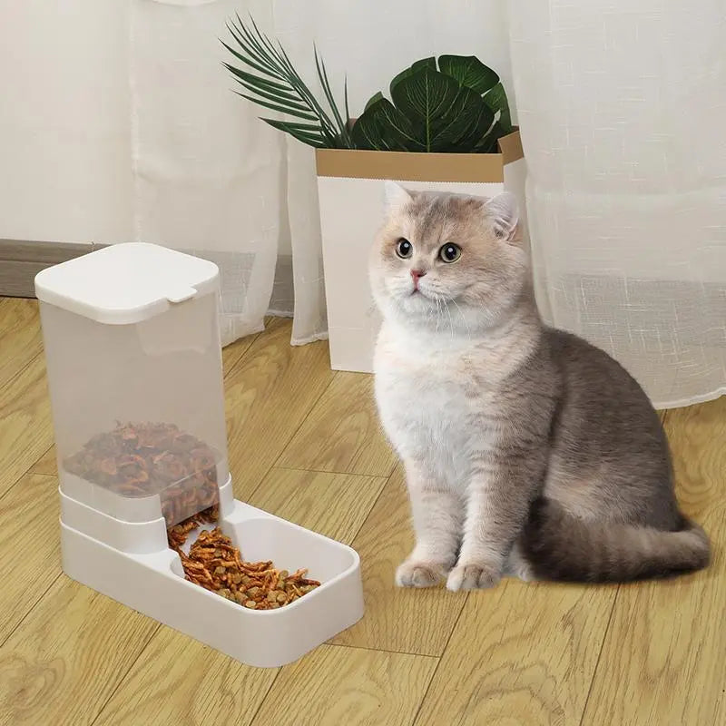 Feed Me, Seymour! The Ultimate Summer Snack Machine for Your Furry Couch Potatoes!
